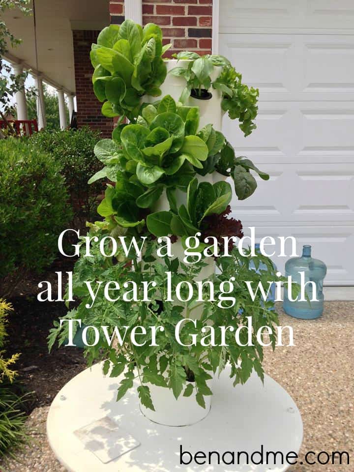 Grow a garden all year long with Tower Graden