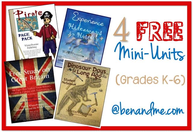 4 FREE Mini Units from Winter Promise