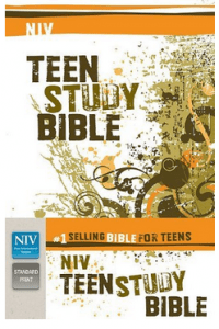 teen study bible niv
