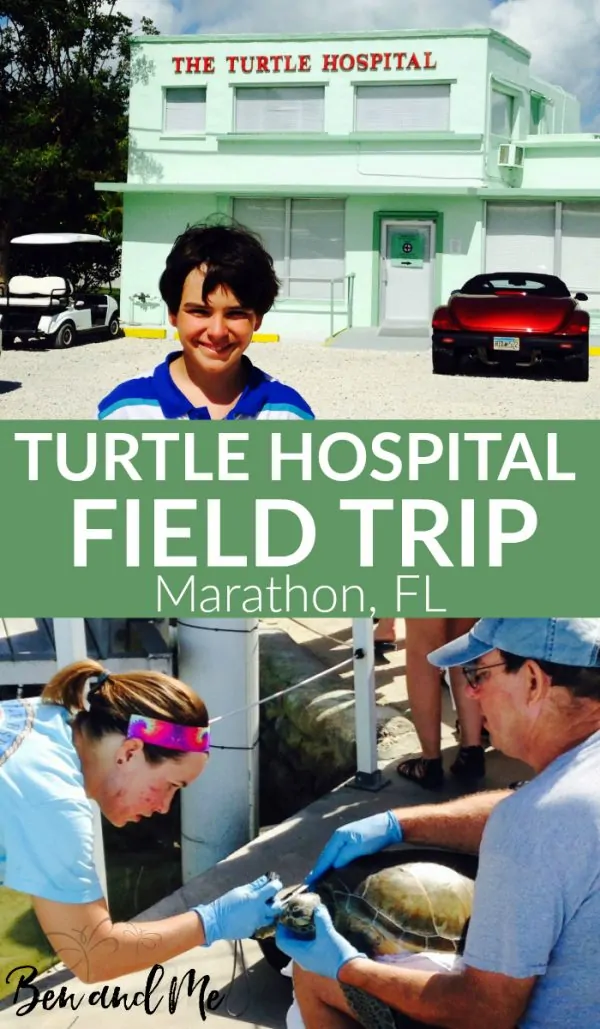 Turtle Hospital Field trip Marathon, Florida text with image collage of field trip