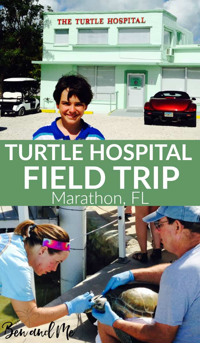 On a recent trip to the Florida Keys, our family spent the morning at the very first sea turtle hospital in the U.S. Enjoy a virtual tour + resources for homeschool study!