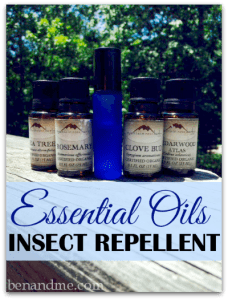 essential oils insect repellent