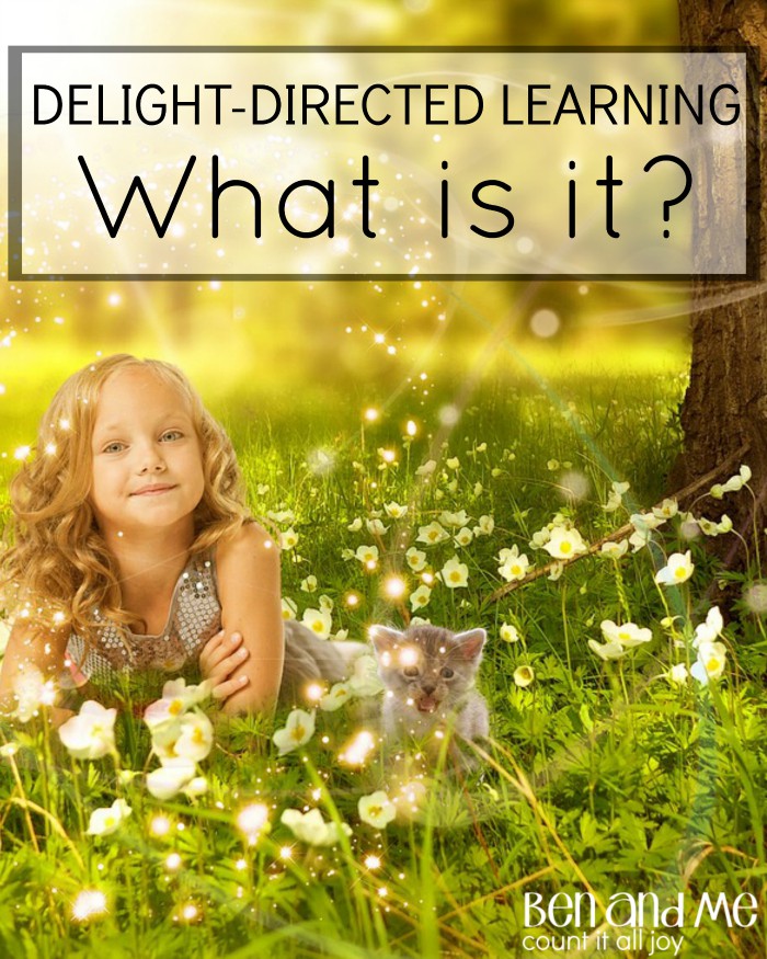What Is Delight-directed Learning