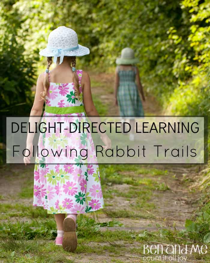 Delight-directed Learning Following Rabbit Trails