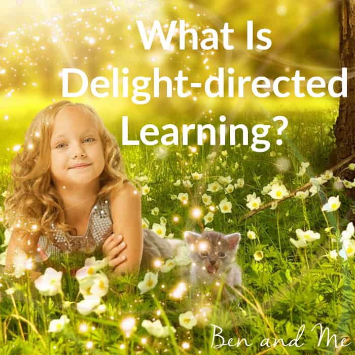 What Is Delight-directed Learning?