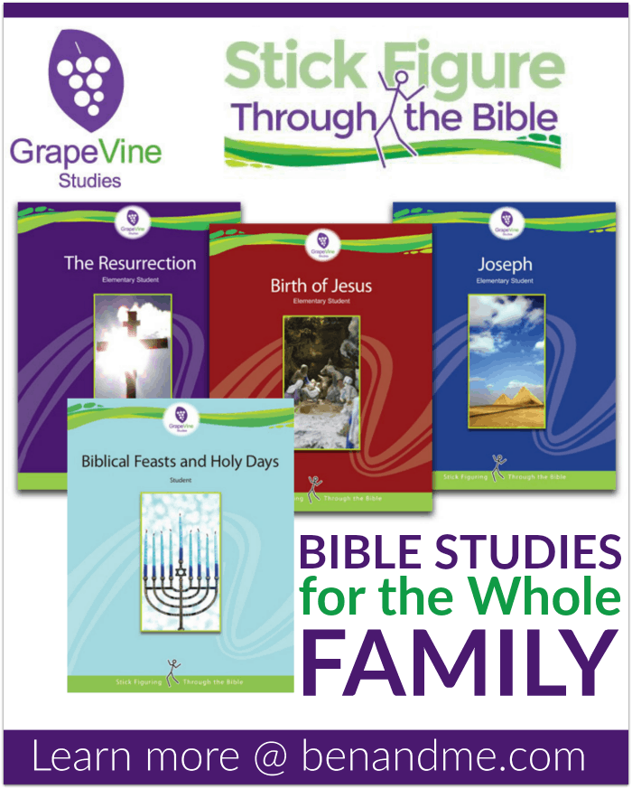 Grapevine Bible Studies Studies Stick Figure Through the Bible -- Bible Studies for the Whole Family
