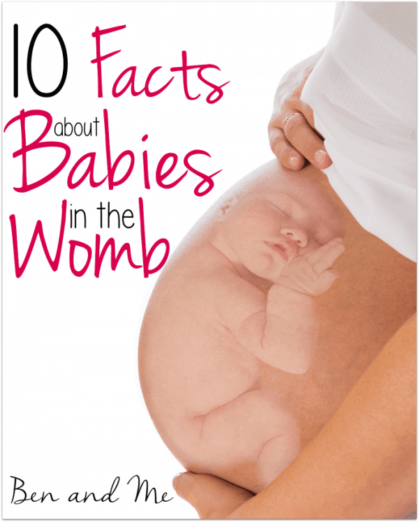 Ten Facts about Babies in the Womb