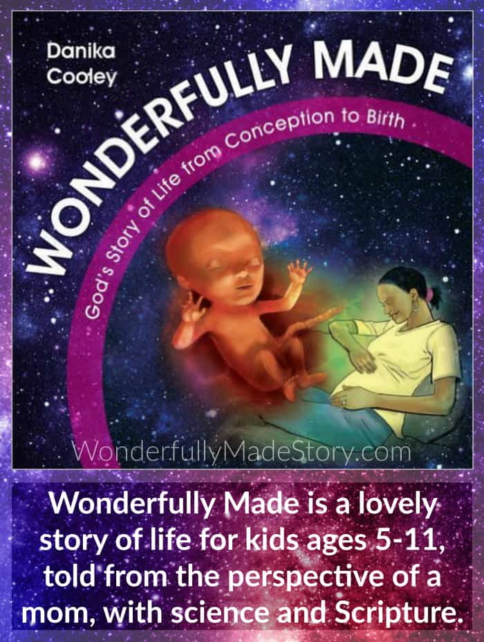 Wonderfully Made God's Story of Life from Conception to Birth by Danika Cooley