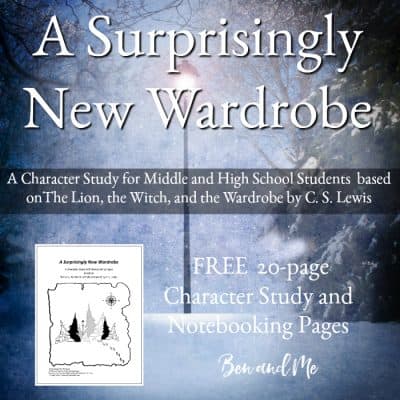 A Surprisingly New Wardrobe (a character study based on The Lion, the Witch, and the Wardrobe by C. S. Lewis)