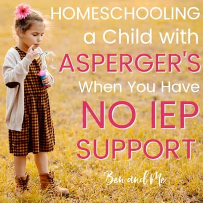 Homeschooling a Child with Asperger’s When You Have No IEP Support