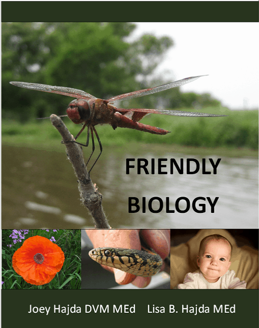 The ease of use, coupled with the gentle nature of the instruction and unique gifts of the authors and video teacher makes Friendly Biology useable both for the science nerd and those who may be somewhat science-averse. It is our choice for high school biology homeschool curriculum #homeschool #homeschooling #homeschoolcurriculum #hsmoms #hsmommas #homeed #homeeducation