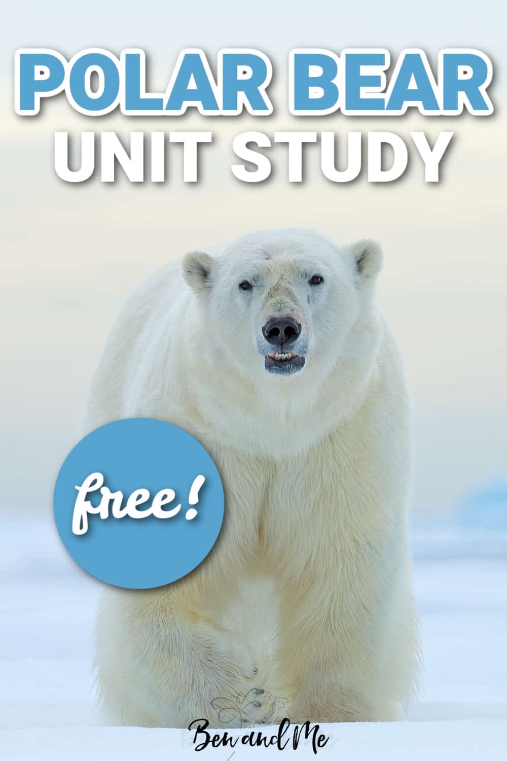 Enjoy this free Polar Bear Unit Study with your family. Learn all about polar bears with books, videos, art, science, and writing activities! #unitstudies #homeschool #polarbears