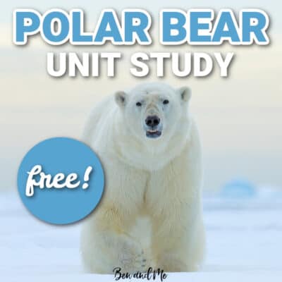 Polar Bear Unit Study